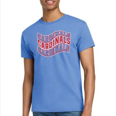 Port & Co Core Cotton Tee. PC54-WAVE